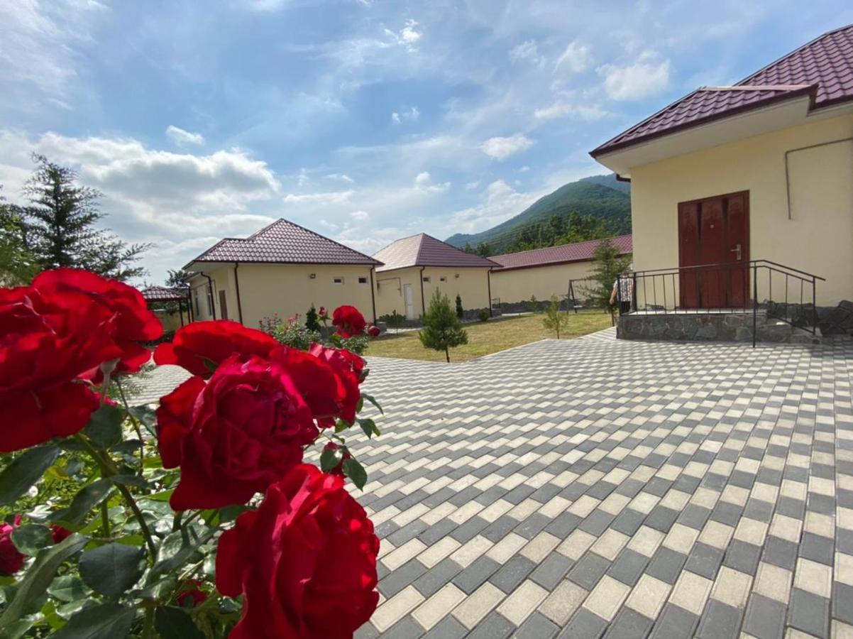 Alp Hotel Гах Екстериор снимка